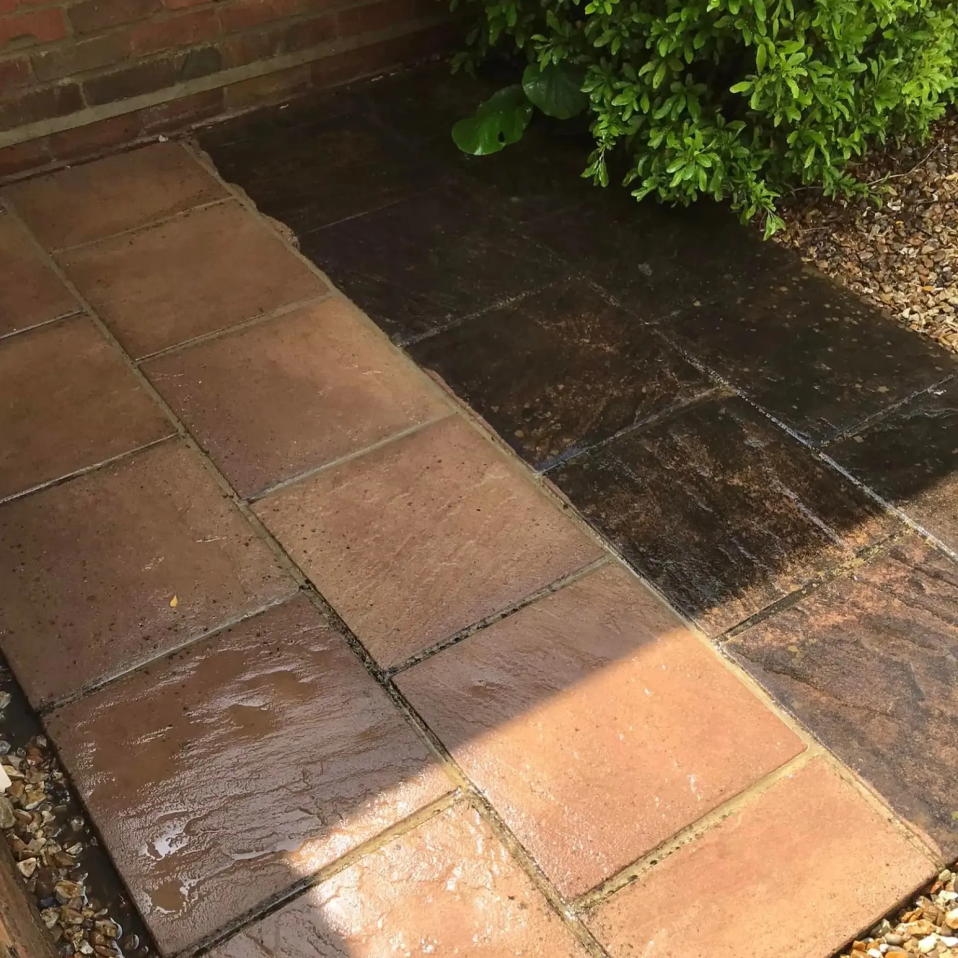 Patio & Driveway Cleaning